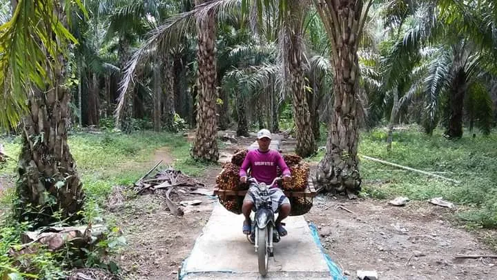 Dana Desa Menjadi Pelumas Mendorong Pertumbuhan Ekonomi Warga Desa