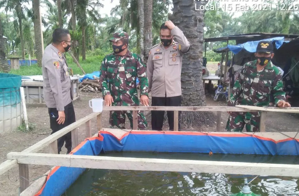 Membangun Sinergitas TNI-Polri ,Kapolres Palas Jarot Bersama Pabung Kodim 0212 /TS Tinjau Kolam Ikan Lele