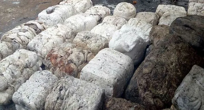 Harga Karet Naik Rp.9000 per kg, Ekonomi Petani Mulai Gairah