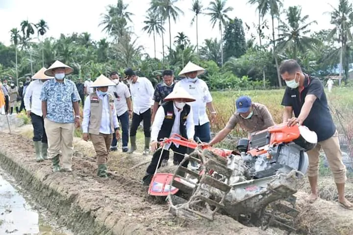 Bupati Zahir Serahkan 10 Unit Pencecah, 7 unit Pembuat Bedengan Ke Petani Cabai
