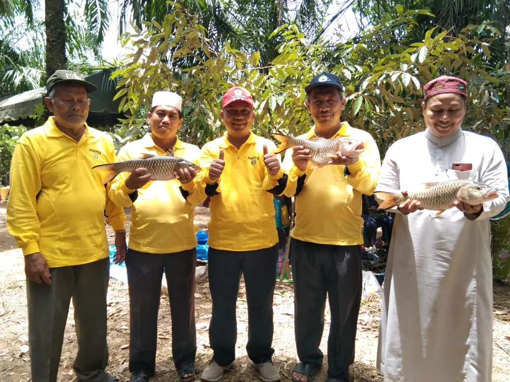 Wabup Palas Zarnawi Panen Ikan Lubuk Larangan Desa Sigalapung