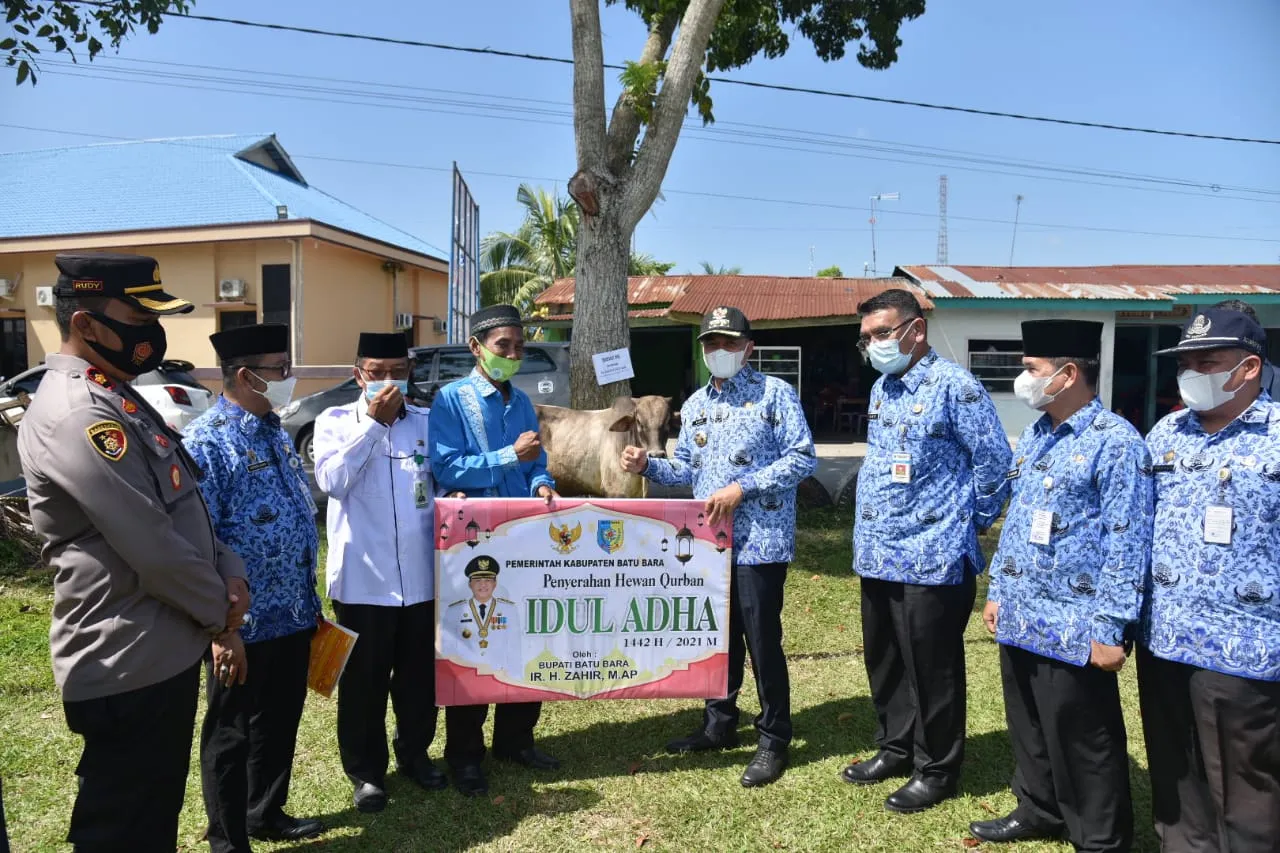 Pemkab Batu Bara Qurban 43 Ekor Sapi