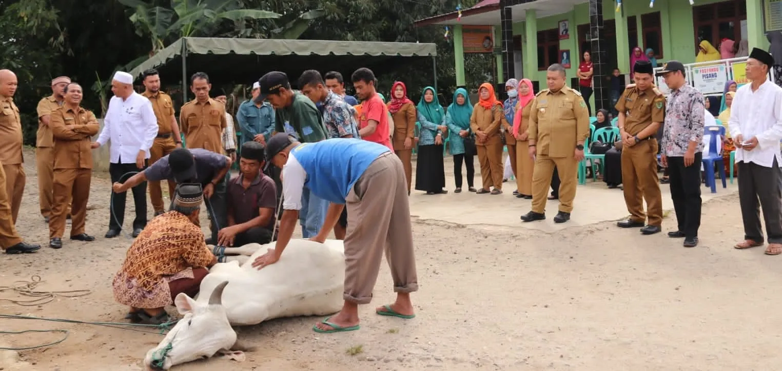 1.807 Hewan Kurban di Tapanuli Selatan