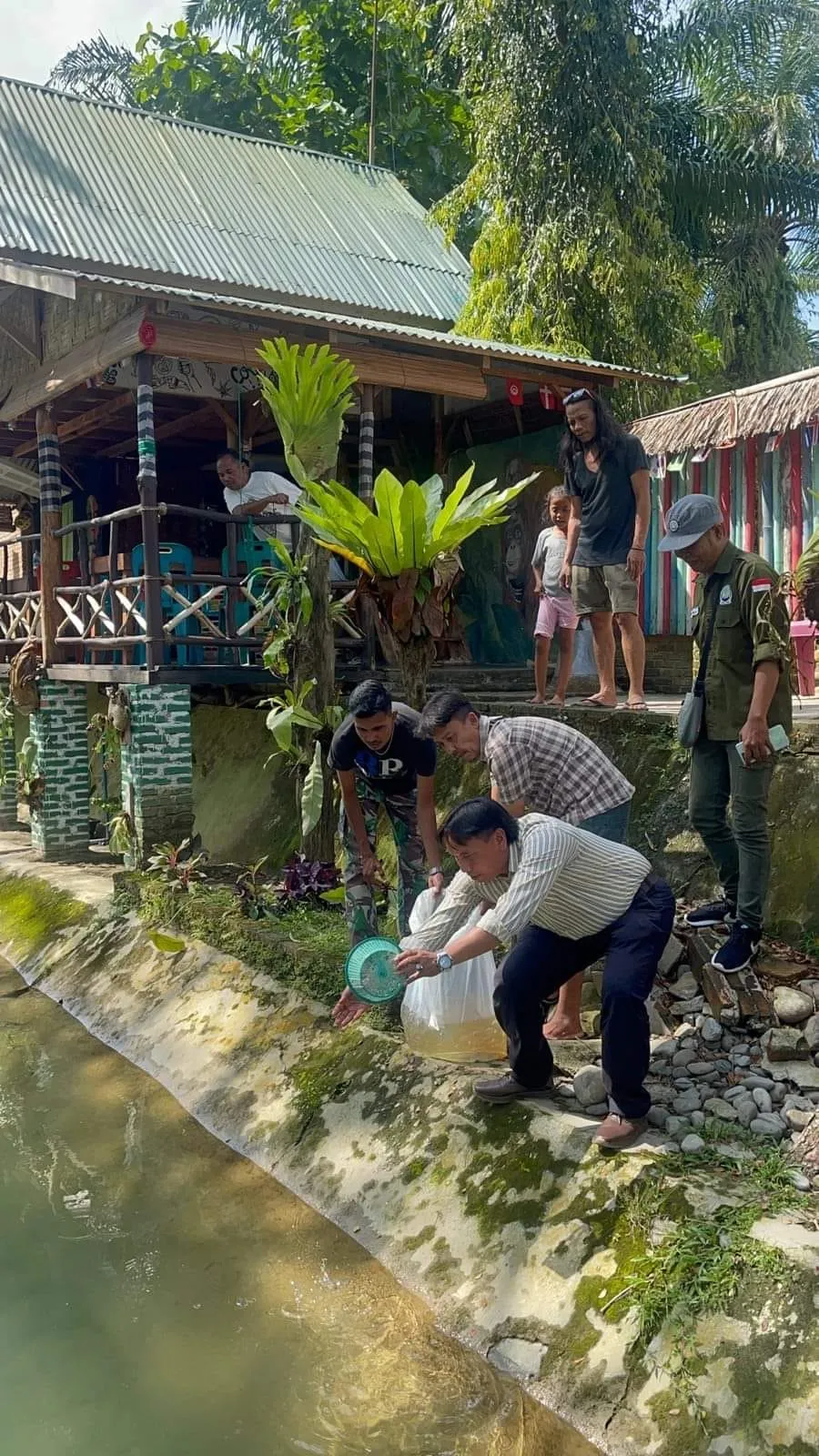 PWI Langkat dan Projek Wing Sumatera Tebar 1000 Bibit Ikan Nila Merah di Irigasi Bukit Lawang