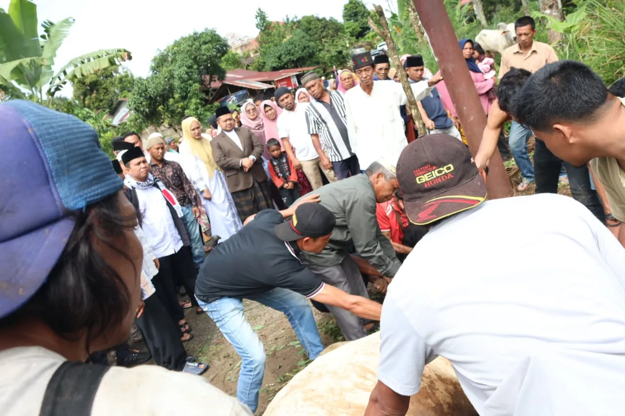 Bupati Dolly dan Keluarga Berkurban Dua Ekor Sapi.