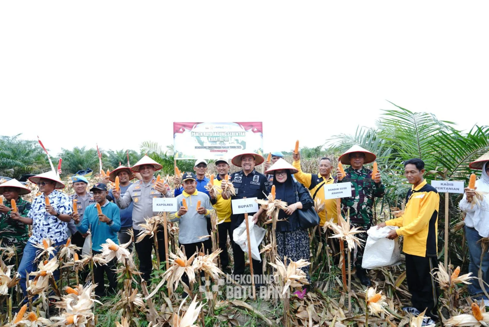 Bupati Batu Bara Hadiri Panen Raya Jagung Serentak Kuartal III