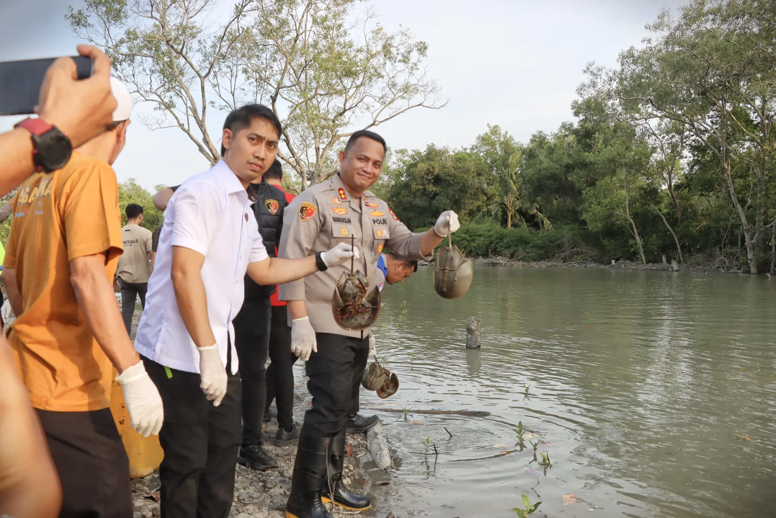 Polres Batu Bara Lepaskan 300 Belangkas Satwa Dilindungi