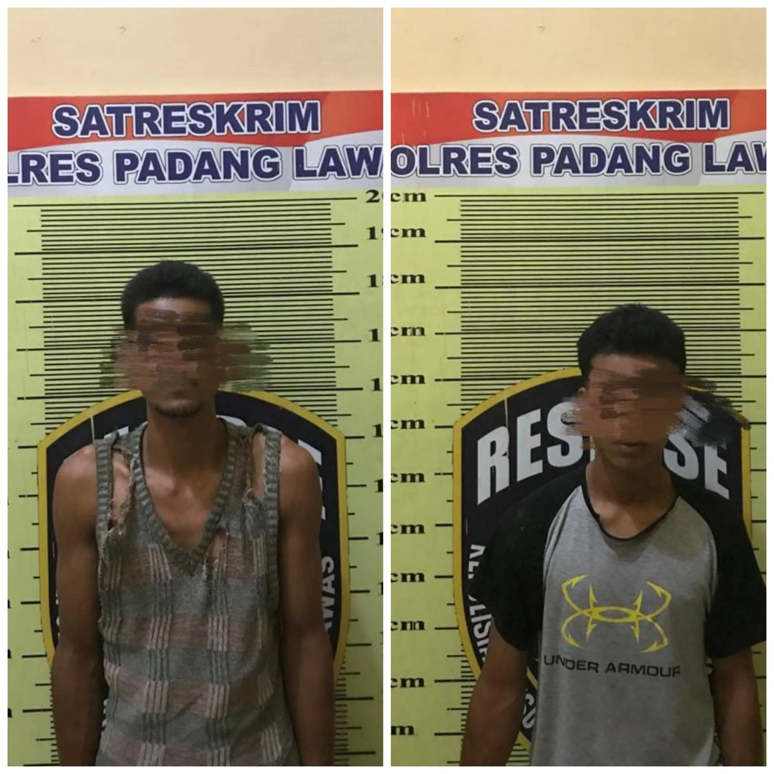 Tertangkap Tangan Curi Sawit , Dua Warga Bulusonik Masuk Bui