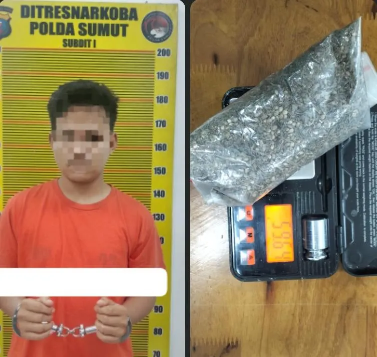 Polisi Tangkap Pengedar di Medan Denai, 60 Gram Ganja Disita