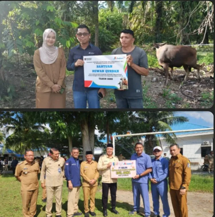 INALUM Salurkan 107 Hewan Kurban di Sumatera Utara