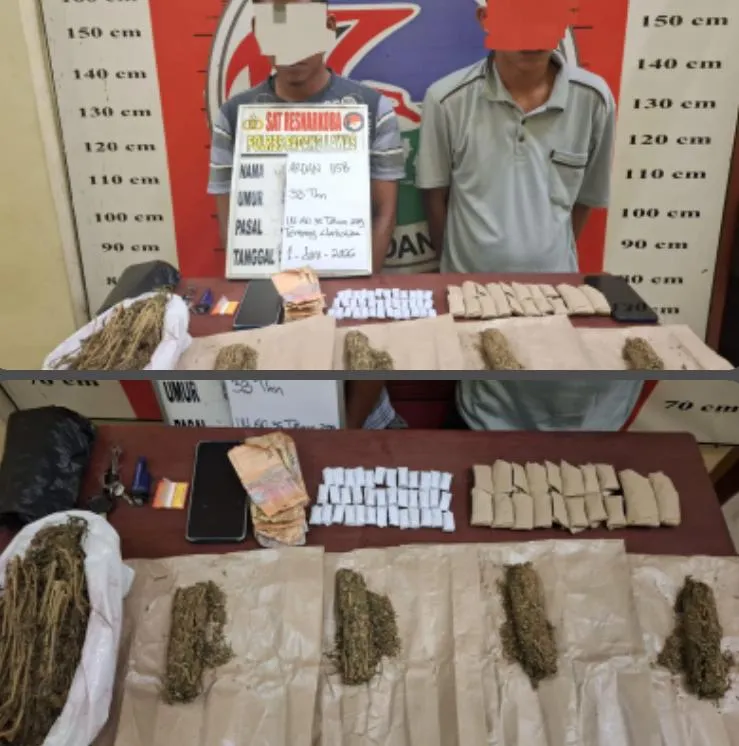 Satres Narkoba Polres Padang Lawas Tangkap Dua Pengedar Ganja, Ratusan Gram Barang Bukti Disita