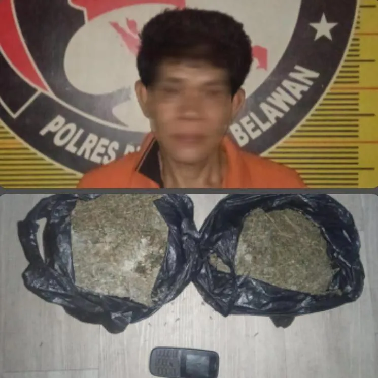 Sat Narkoba Polres Pelabuhan Belawan Tangkap Pengedar Ganja Asal Aceh, 840 Gram Ganja Kering Diamankan