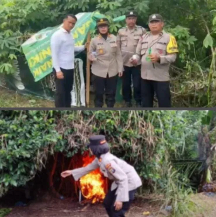 Polsek Binjai Grebek Sarang Narkoba di Tandem Hilir, Barak Dibakar