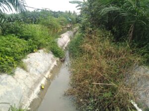 Petani Kecewa.Saluran Irigasi Bendungan Sumanggar Simodong Gambus, Simodong  Batu Bara Tak Terurus