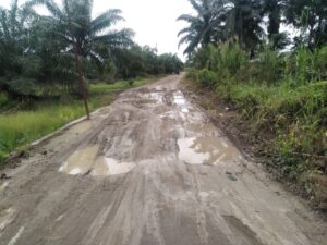 Ruas Jalan Di Kabupaten Batubara Rusak Parah. Pemkab Diminta Segera Memperbaiki. Sudah Banyak Korban Berjatuhan