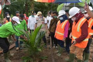 Penanaman Perdana Program Sawit Rakyat Di Laut Tador Batu Bara