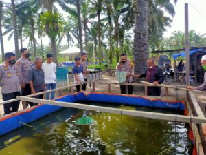 Bupati Palas TSO Makan Ikan Lele Di Kolam Mapolres