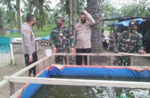 Membangun Sinergitas TNI-Polri ,Kapolres Palas Jarot Bersama Pabung Kodim 0212 /TS Tinjau Kolam Ikan Lele 