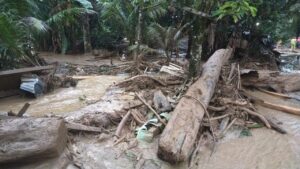 Banjir Bandang Di Palas, 15 Hektar Tanam Padi Habis Disapu Banjir