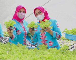 TP PKK Medan Gelar Pelayihan Terpadu Peranan Wanita dan Keluarga