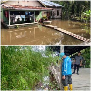 Plt.Wali Kota Tinjau Lokasi Rawan Banjir Kota Tanjungbalai.