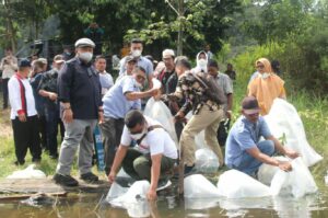 Bupati Dolly Pasaribu Tabur Puluhan Ribu Bibit Ikan di Danau Siais