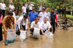 Bupati Dolly Pasaribu Tabur Belasan Ribu Bibit Ikan