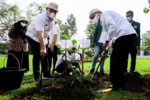Menko PMK dan Bobby Nasution Tanam Pohon di USU