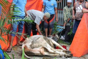 Rutan 1 Medan Kurban 25 Sapi dan 4 Kambing