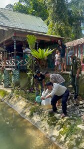 PWI Langkat dan Projek Wing Sumatera Tebar 1000 Bibit Ikan Nila Merah di Irigasi Bukit Lawang 