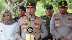 Polda Sumut Temukan 5 Hektar Ladang Ganja di Madina.