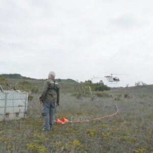 Agincourt Resources Turunkan Helikopter, Pelepasliaran Harimau Sumatra “Senja” ke TNGL Sukses