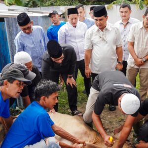 Rico Waas Saksikan Pemotongan Hewan Kurban,9.635 Hewan Kurban Disembelih