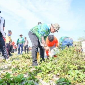 Hari Lingkungan Hidup Sedunia, Pemkab Batu Bara Bersih-Bersih Sampah di Pantai