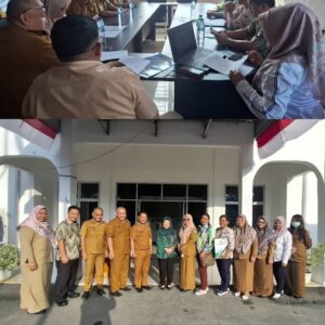 Dinkes Sumut Dampingi RSUD H. Ok Arya Zulkarnain, Perkuat Validitas Data Kesehatan dan Distribusi Dokter Spesialis