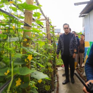 Rico Waas Apresiasi Warga Pasar Merah Timur Manfaatkan Lahan Tidur