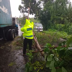 Satlantas Polres Batu Bara Gerak Cepat Evakuasi Pohon Tumbang di Jalinsum Lima Puluh