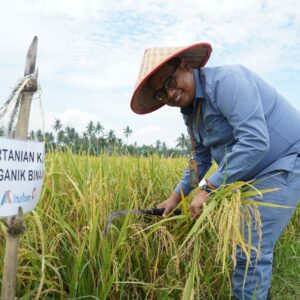 INALUM Dukung Pertanian Berkelanjutan Lewat Penerapan Metode Tani Nusantara di Kuala Tanjung