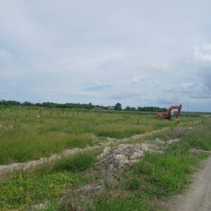 Jejak Gelap Alih Fungsi Hutan Tanjung Leidong, Mangrove Digusur, Sawit Masuk: Siapa di Balik Ekskavator Itu?