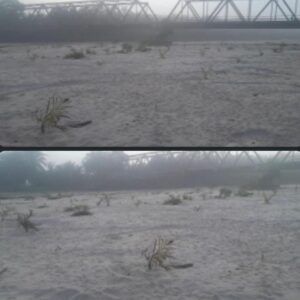 Sungai Tanjung Kering Meluap, Ribuan Hektare Sawah di Batu Bara Terancam Gagal Tanam