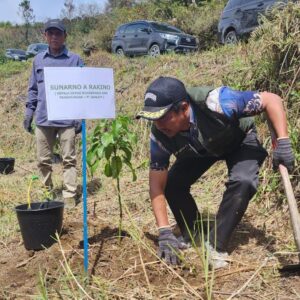 INALUM Tanam 600 Pohon,Tanda Dimulainya Penghijauan 500 Hektar di DTA Danau Toba