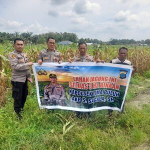 Kapolsek Lima Puluh Cek Lahan Jagung Jelang Panen Raya Serentak