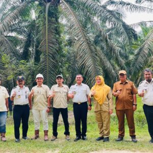 Optimalisasi Aset Negara, Kalapas Labuhan Ruku Tinjau Lahan dan Rencana Penumbangan Sawit di Air Joman