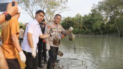 Polres Batu Bara Lepaskan 300 Belangkas Satwa Dilindungi