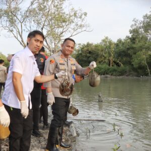 Polres Batu Bara Lepaskan 300 Belangkas Satwa Dilindungi