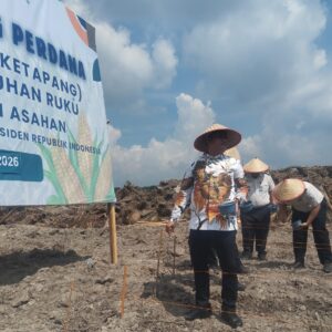 Wabup Asahan Rianto Hadiri Penanaman Jagung Perdana Program Ketahanan Pangan