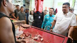 Harga Daging Ayam di Sumut Mulai Turun