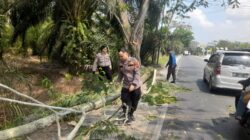 Personel Pos Pam 2 Sei Bejangkar Bersihkan Pohon Tumbang di Sei Balai