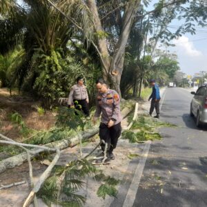 Personel Pos Pam 2 Sei Bejangkar Bersihkan Pohon Tumbang di Sei Balai